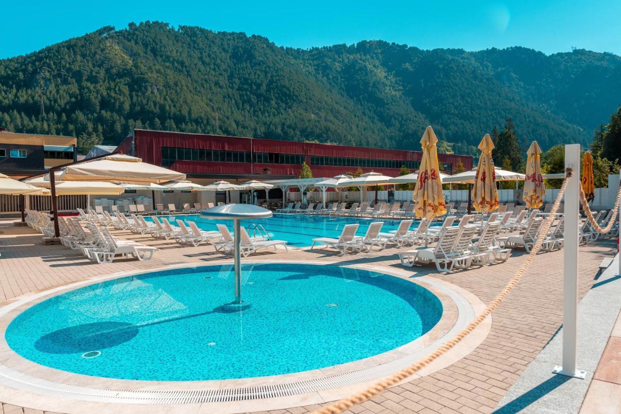 Hotel Garden